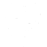 Stade Brestois 29
