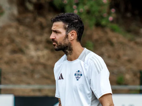 Cesc Fàbregas